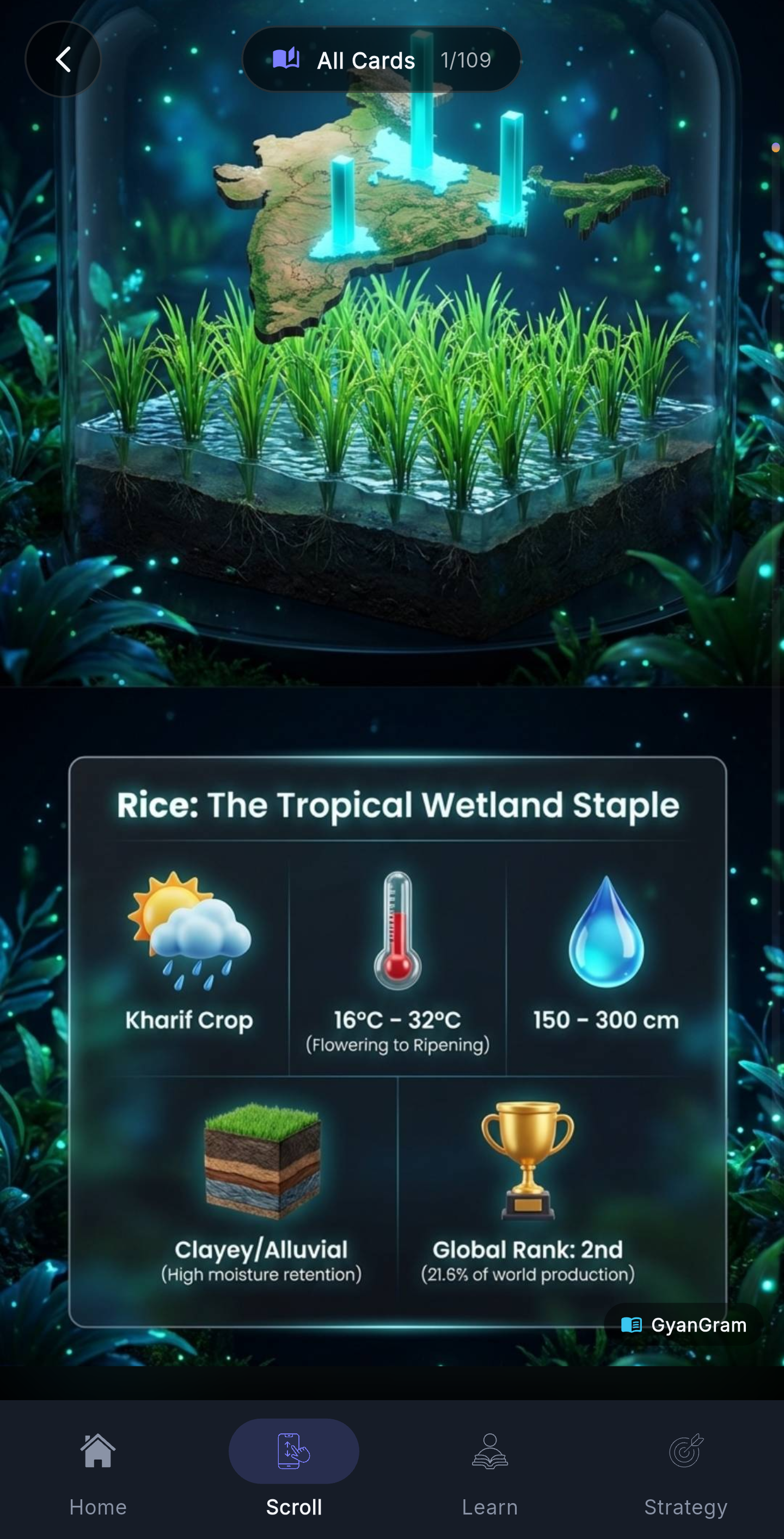 GyanGram visual learning card screenshot